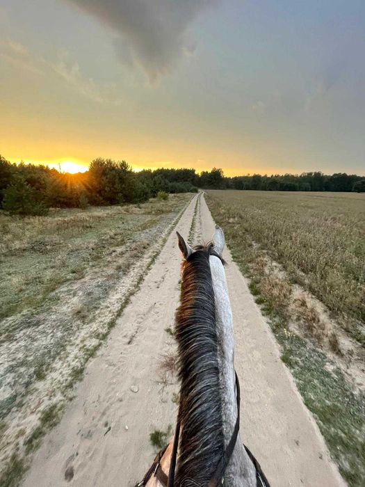 Agroturystyka, Nocleg przy Stadninie Koni
