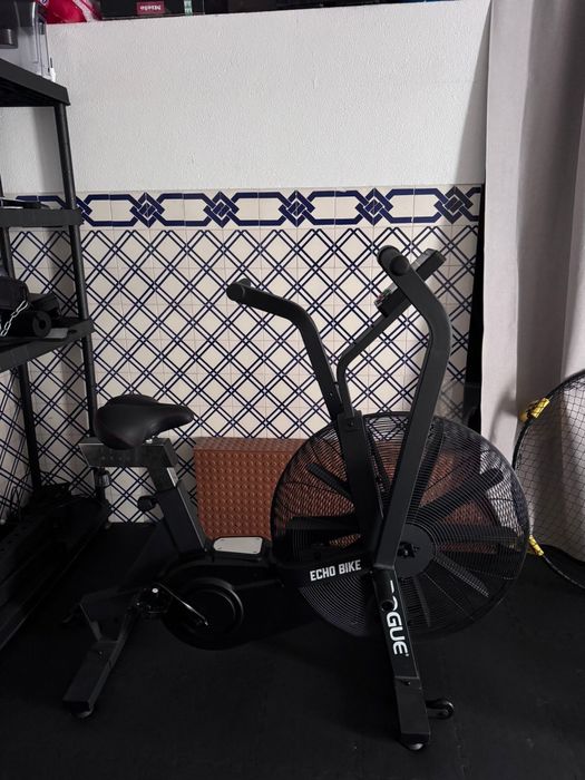 Bicicleta de ar Rogue Echo Bike – quase nova