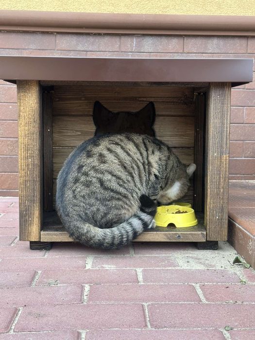 Будиночок для котів, собак / домик для котов и собак