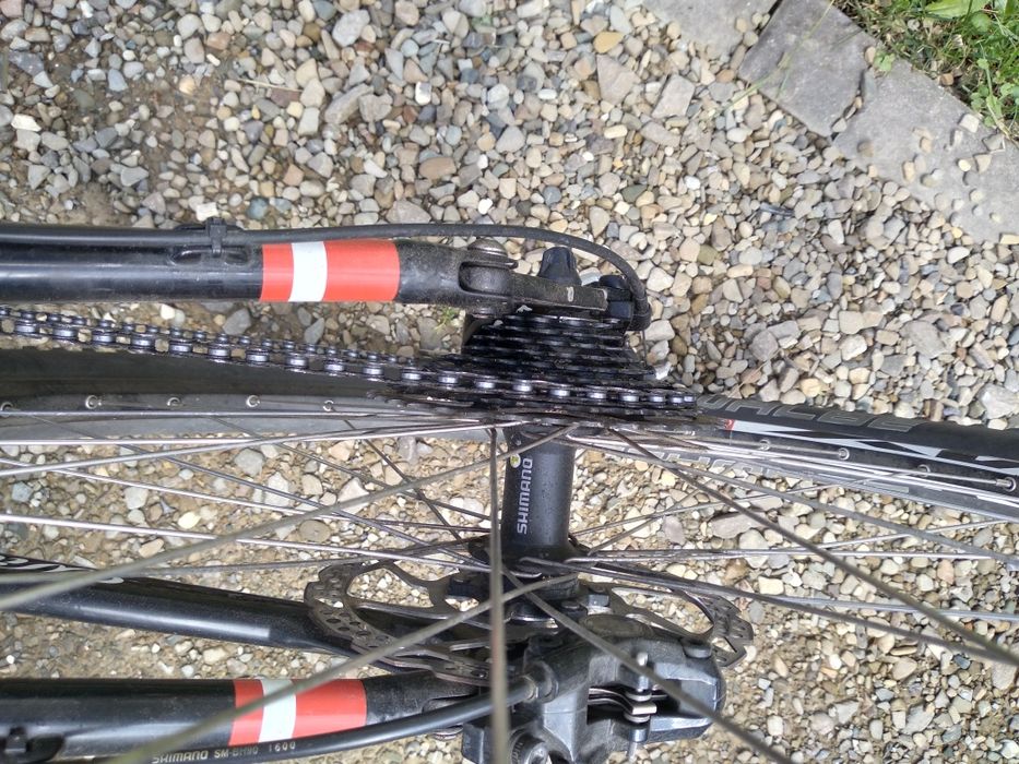 Rower Wilier Triestina