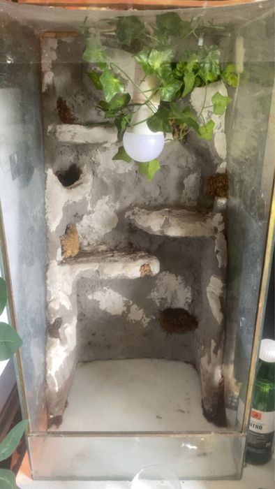 Terrarium 35 x 35 x 70 cm