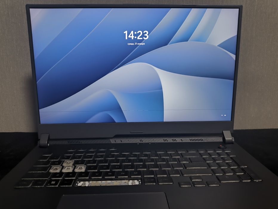 ASUS ROG Strix G713QR з дефектами