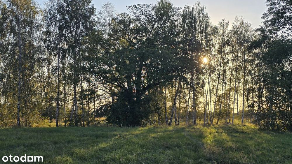 Doskonała propozycja dla Inwestorów