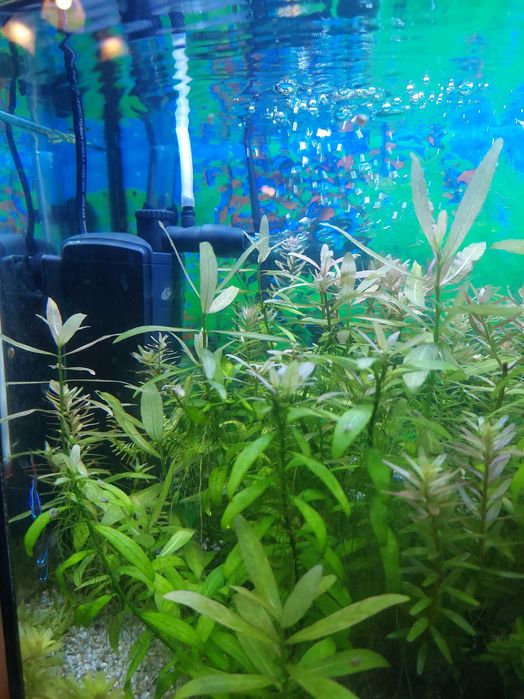 Filtr wewnętrzny akwariowy Resun BC300