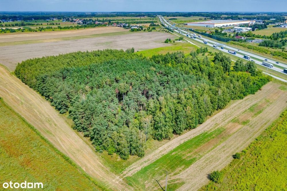 Działka usługowa przy samym zjeździe A1 - Widok 3