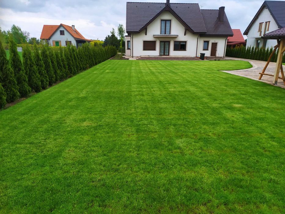 trawnik siatka na krety ogród od podstaw