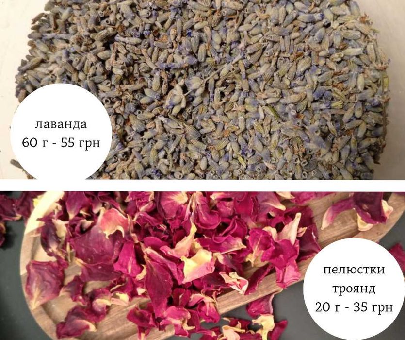 Лаванда чебрець календула чорнобривці шавлія троянда трав'яні чаї