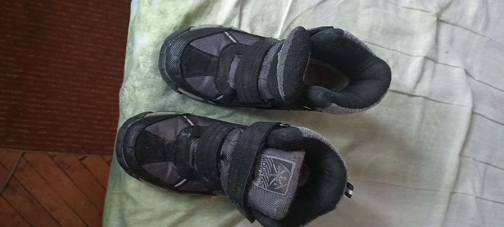 Отдам  бесплатно