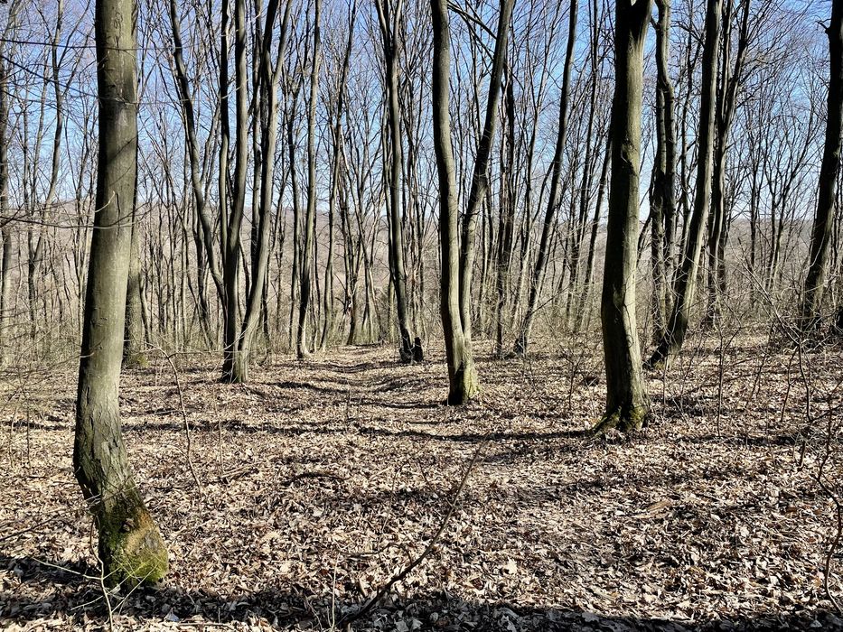 Земельна ділянка 20 сот. с. Креничі під будівництво.