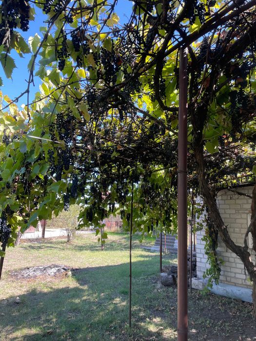 Продам дачу на Правому (початок Великого Лугу)