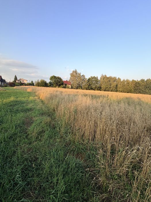 Działka rolno-budowlana 9190 m² Mszana k.Wodzislawia Śl.