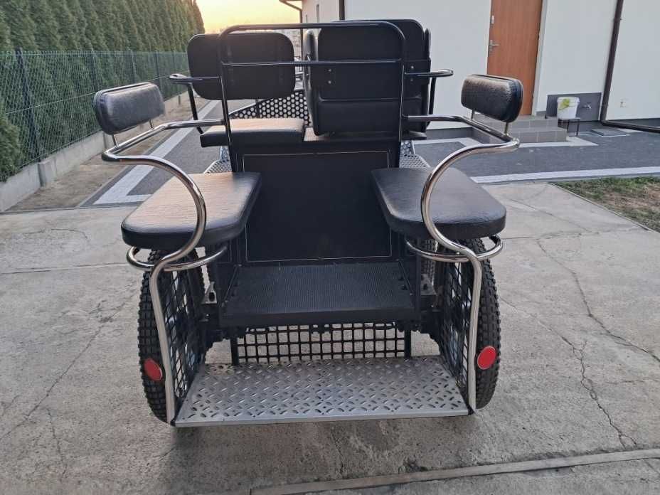 Sprzedam piekna klacz i bryczke