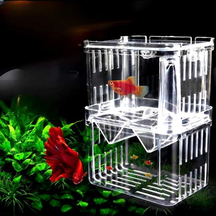 Incubadora caixa isolamento peixes aquário peixes bebes NOVO