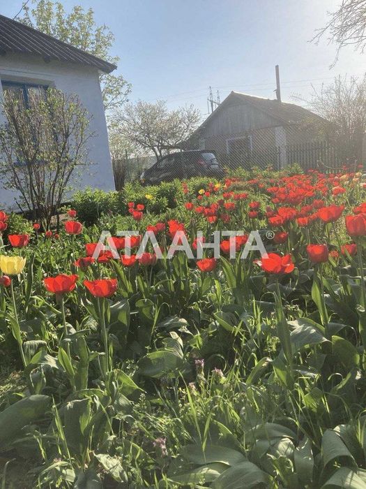 Продам будинок у селі Паліївка з земельною ділянкою 107 соток!