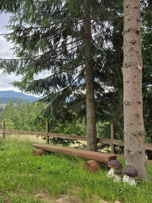 Продам будинок в Карпатах