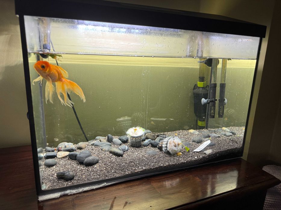 Akwarium AQUAEL Leddy 60 XL 72l Oświetlone