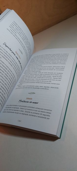 O Poder da Meditação - Rute Caldeira