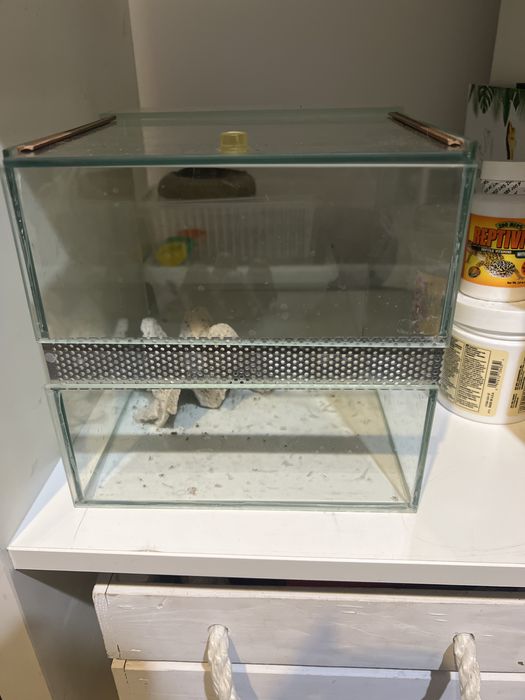 Terarium 60 x 40 plus male na swietszcze
