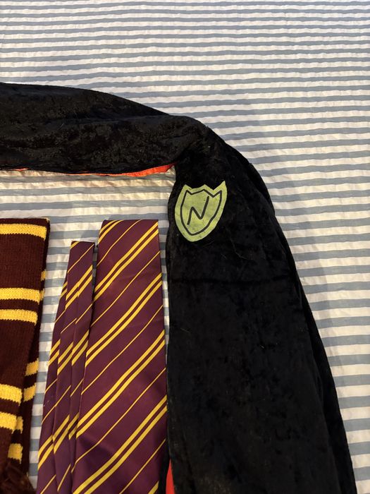 Carnaval Harry Potter