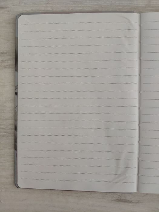 Notes zeszyt Kraina Lodu Elsa + naklejki