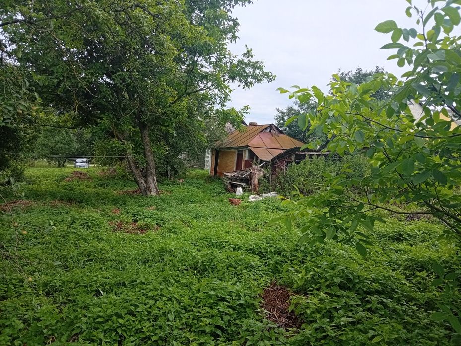 Продам хату в житловому стані з земельною ділянкою