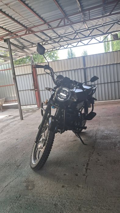 Альфа мустанг 125