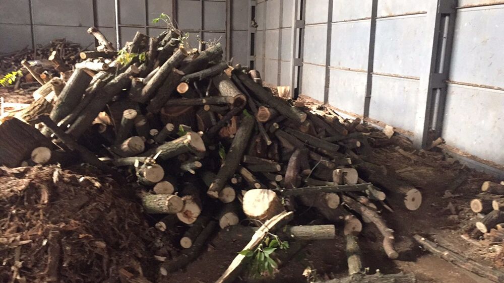 Продам дрова дубові