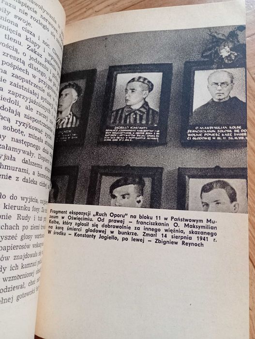 książka: ,,Ucieczki oświęcimskie"
