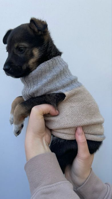 Прилаштовується крихітний хлопчик