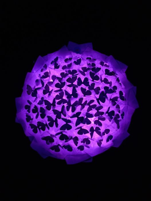 Букет з метеликів для особливих моментів  День закоханих, 8 березня