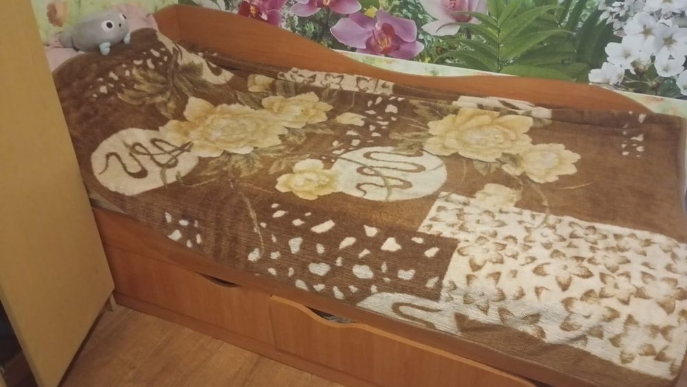 Продам дом Чечелеве