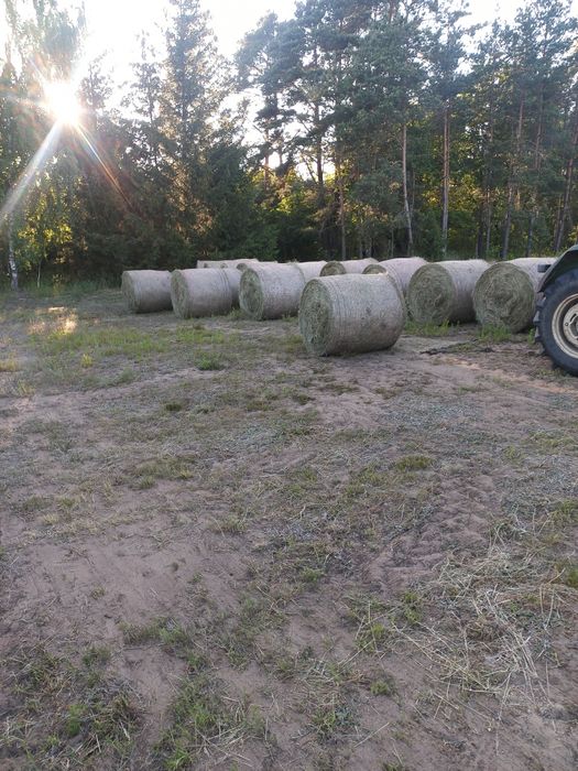Sprzedam siano pierwszy pokos
