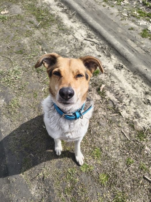 niewidzialny dla nikogo