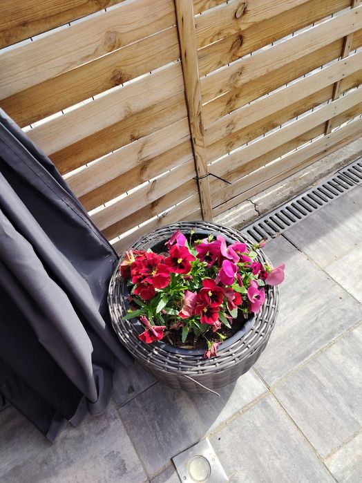 Apartament Jacuzzi - Krucza ,Starówka