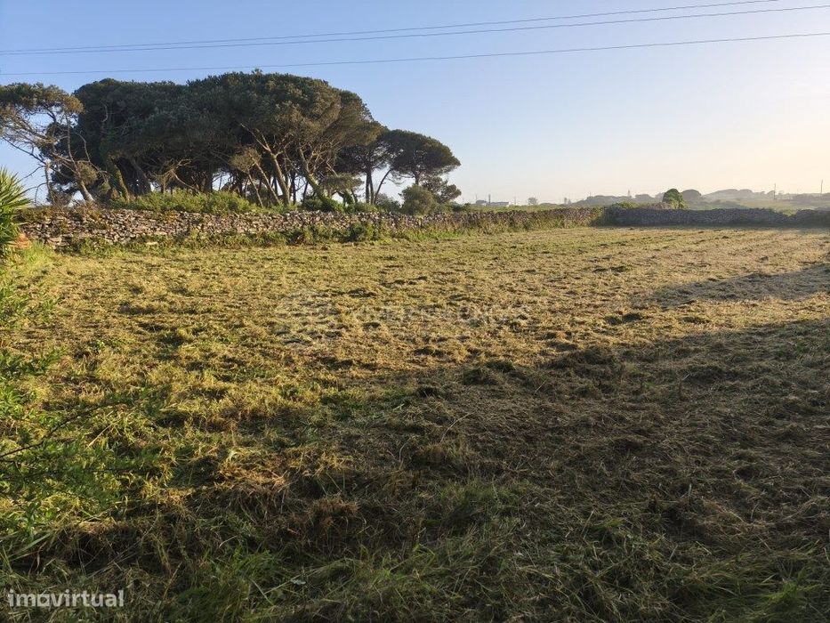 Terreno Rústico com 1.280 m² em Zona Tranquila e de Fácil Acesso