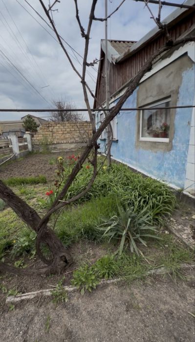 Продам дом в пос . РАДОСТНОЕ ОТГ АВАНГАРД