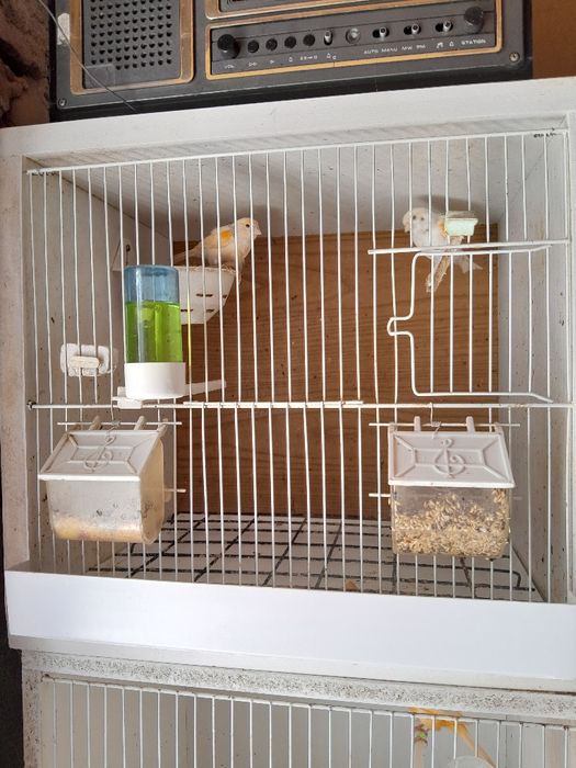 4 gaiolas para canários