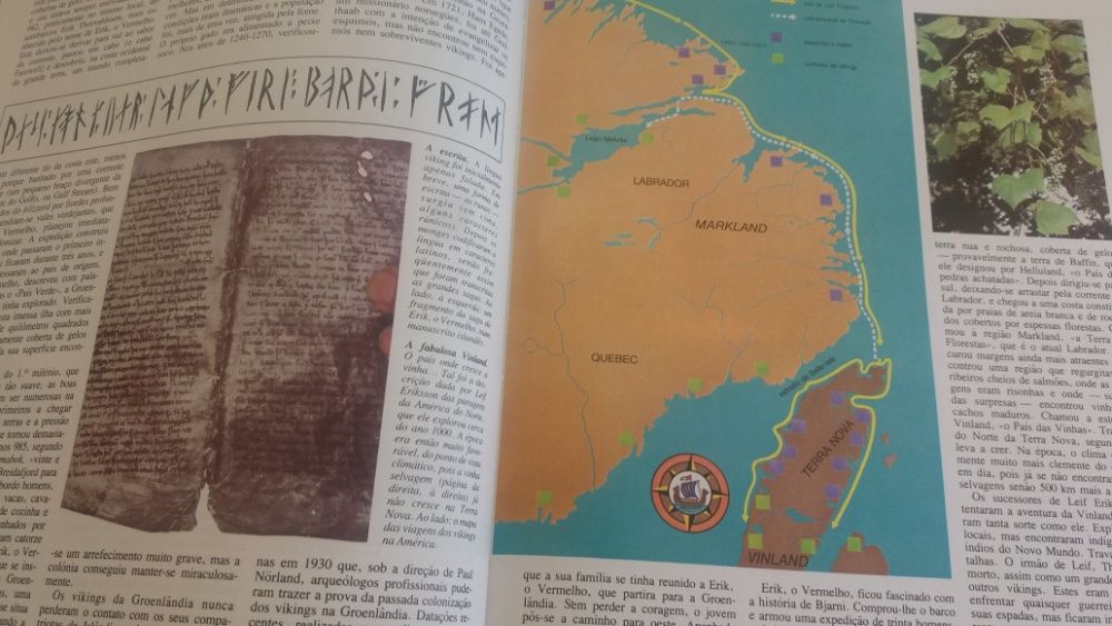 O Mundo Submarino de Jacques Cousteau 12 Volumes