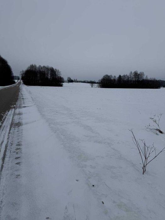 Sprzedam działkę o pow. 0.99ha w Brzozowie Kolonii