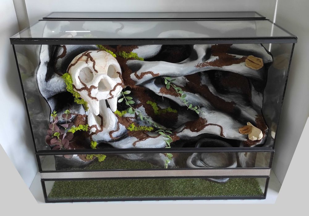 Terrarium dla węża zbożowego,  mahoniowego, TW46Cz3, AquaWaves