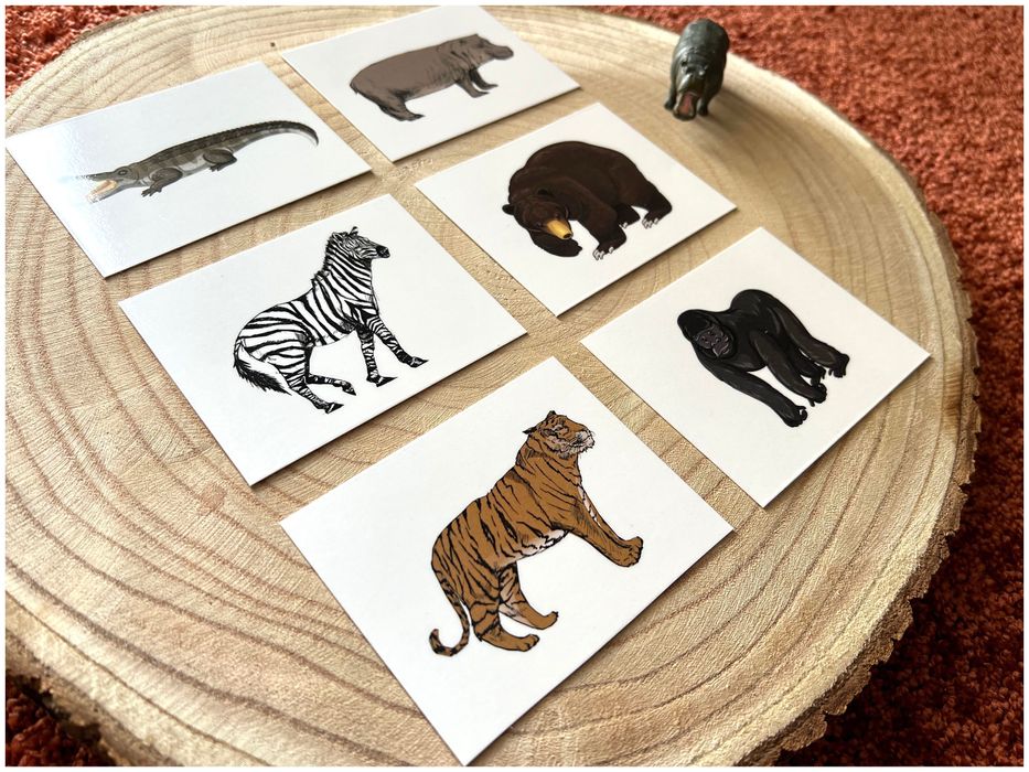 Animais da Selva - Montessori