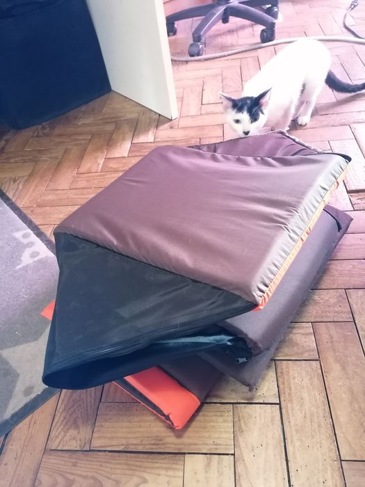 Casa gato dobrável e lavável..