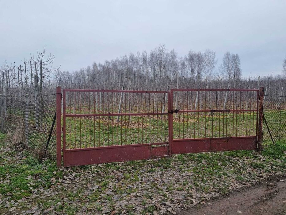 Działka budowlana 3800 m² - Widok 3