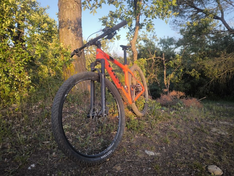 Trek Procaliber 9.6 L