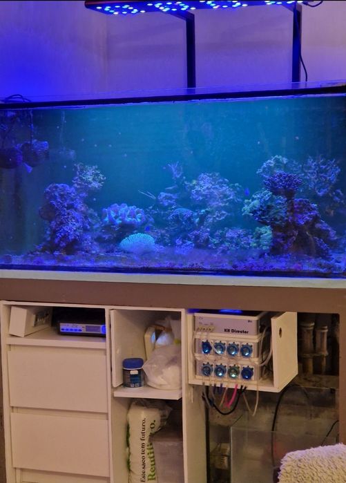 Aquário Água Salgada Reef