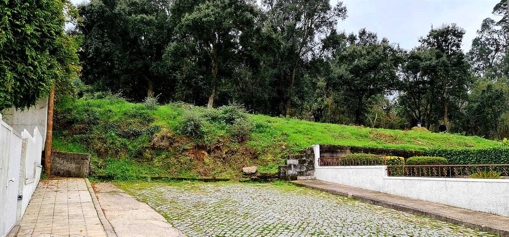 Terreno Urbanizável 10.000m2 - Santo Tirso | Particular