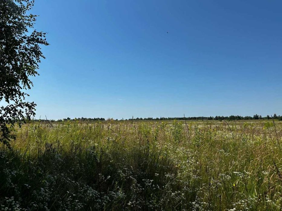 Продаж земельної ділянки 38 соток - ОСГ. 50 метрів від траси. ID:678