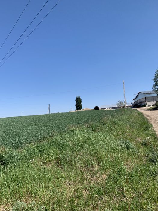 Панорамна земельна ділянка поблизу Тернополя