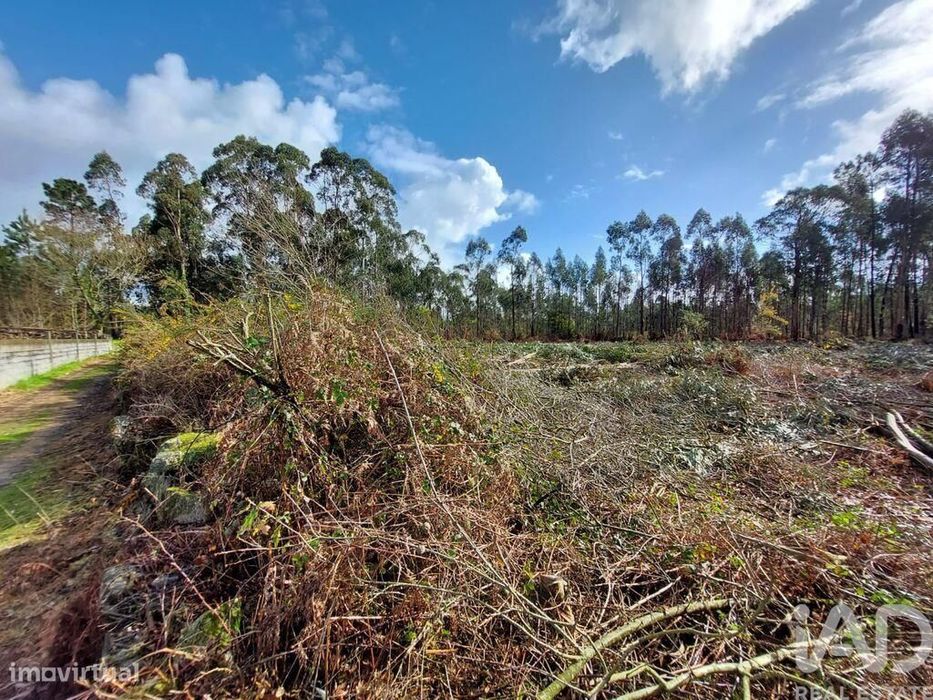 Terreno em Vila de Punhe de 4388,00 m2