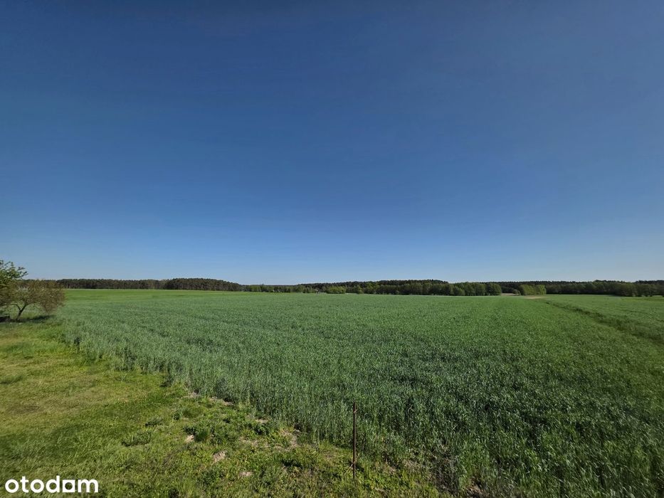 Działka budowlana w Kaszczorze, blisko Jeziora Wieleńskiego